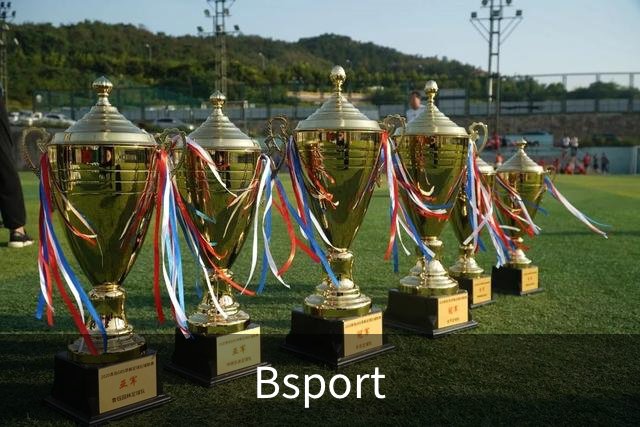 Bsport公司简介